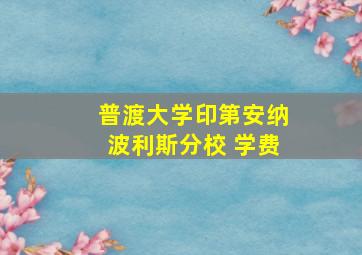 普渡大学印第安纳波利斯分校 学费